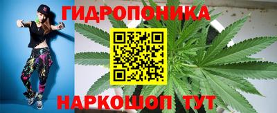 тгк Можга