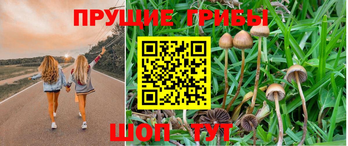 Верхняя Салда  Галлюциногенные грибы прущие грибы  Вход с VPN 