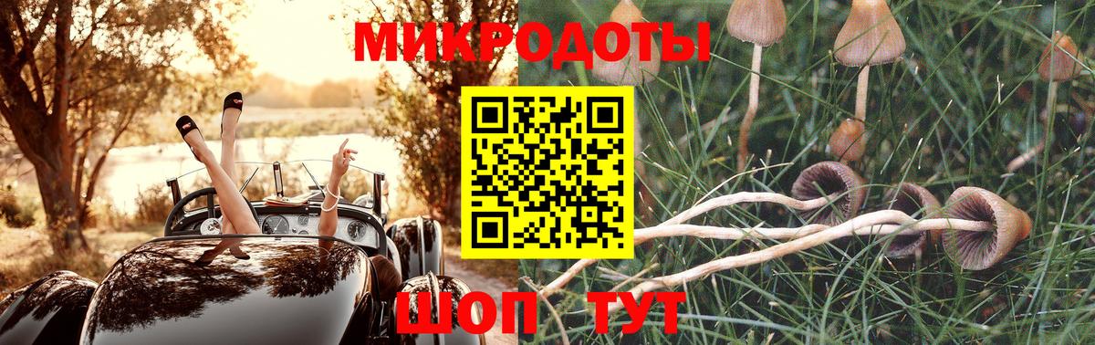 Псилоцибиновые грибы GOLDEN TEACHER Верхняя Салда