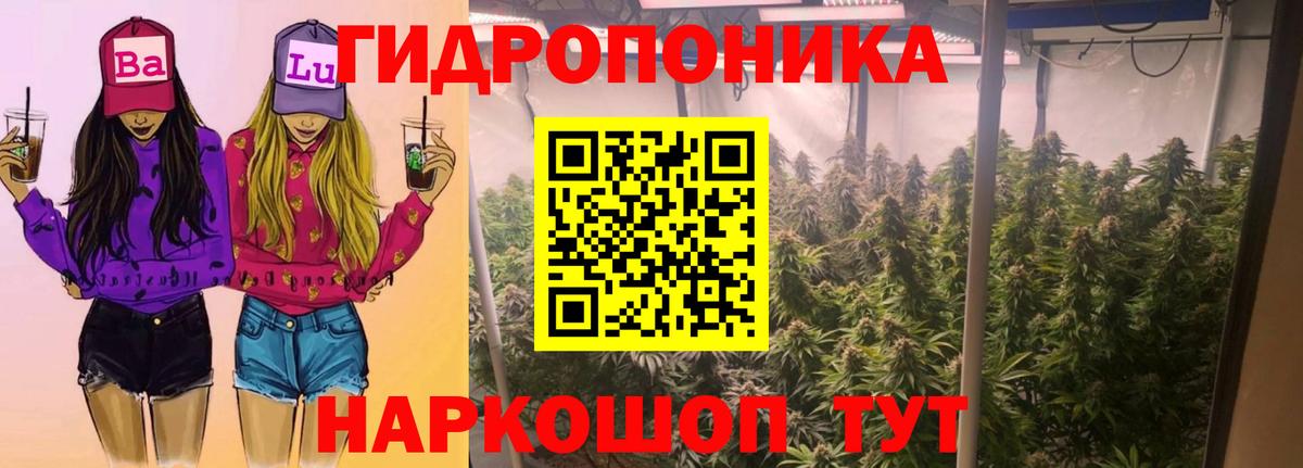 Конопля THC 21%  Вход с VPN  Верхняя Салда  МАРИХУАНА SATIVA & INDICA 